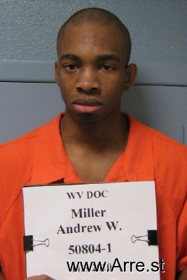 Andrew W Miller