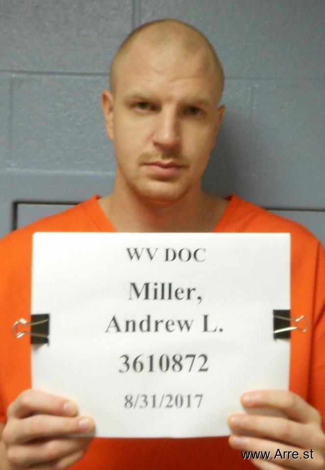 Andrew Lewis Miller